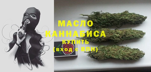 индика Козельск