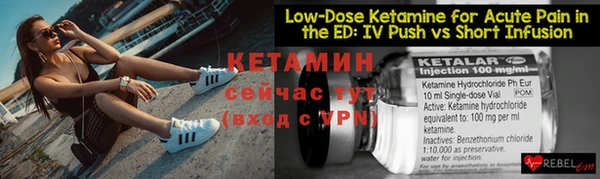 индика Козельск