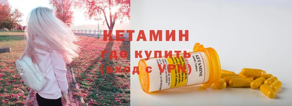 индика Козельск