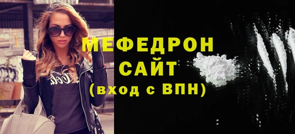 индика Козельск