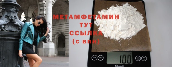 индика Козельск