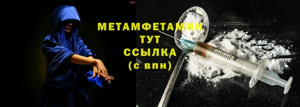 индика Козельск