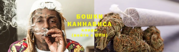 индика Козельск