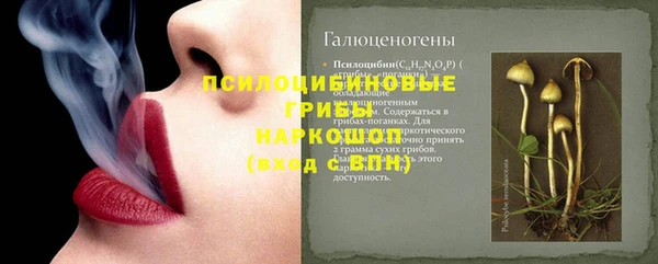 ешки Козловка