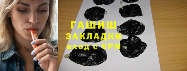 индика Козельск