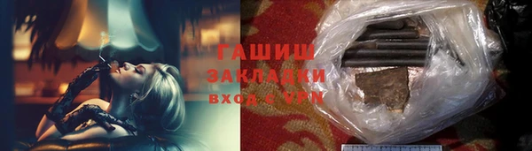 индика Козельск