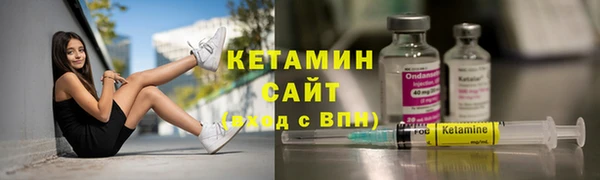 индика Козельск