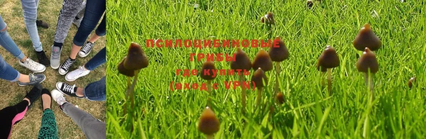 прущие крисы Кодинск