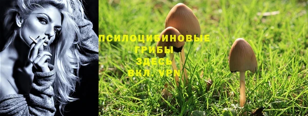индика Козельск
