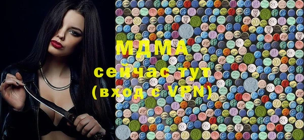индика Козельск