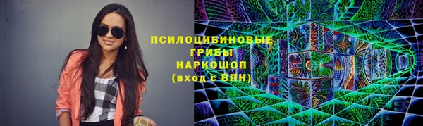 индика Козельск