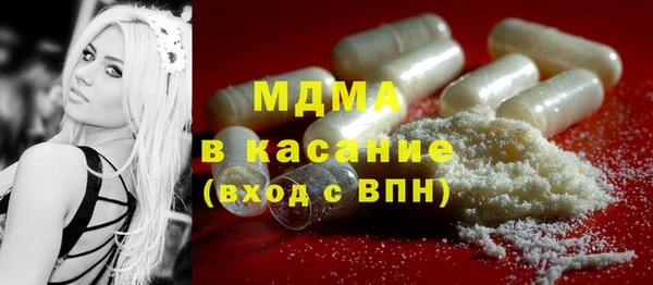 индика Козельск