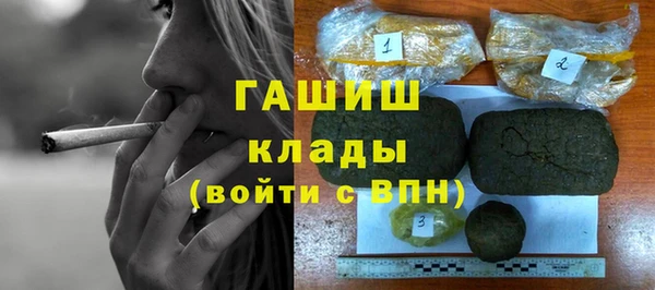 индика Козельск